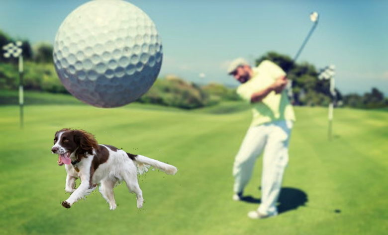 Golf player and dog in golf course